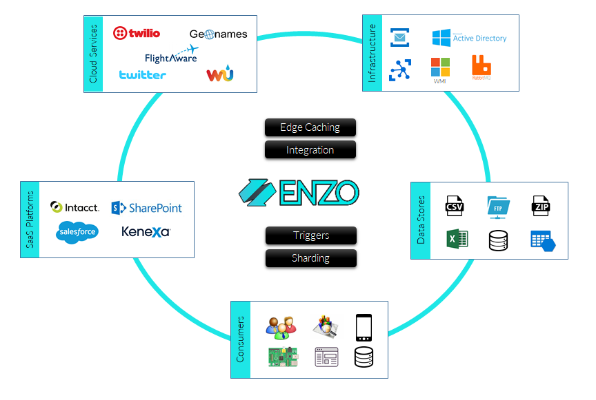 ENZO Conceptual